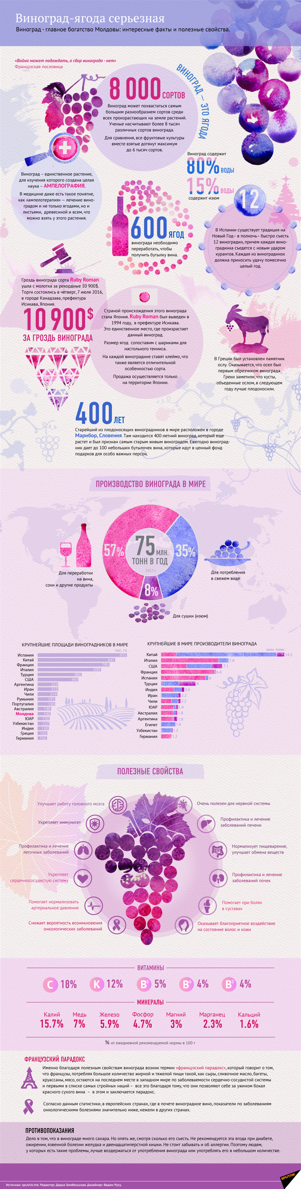 grape infographic. grape statistic